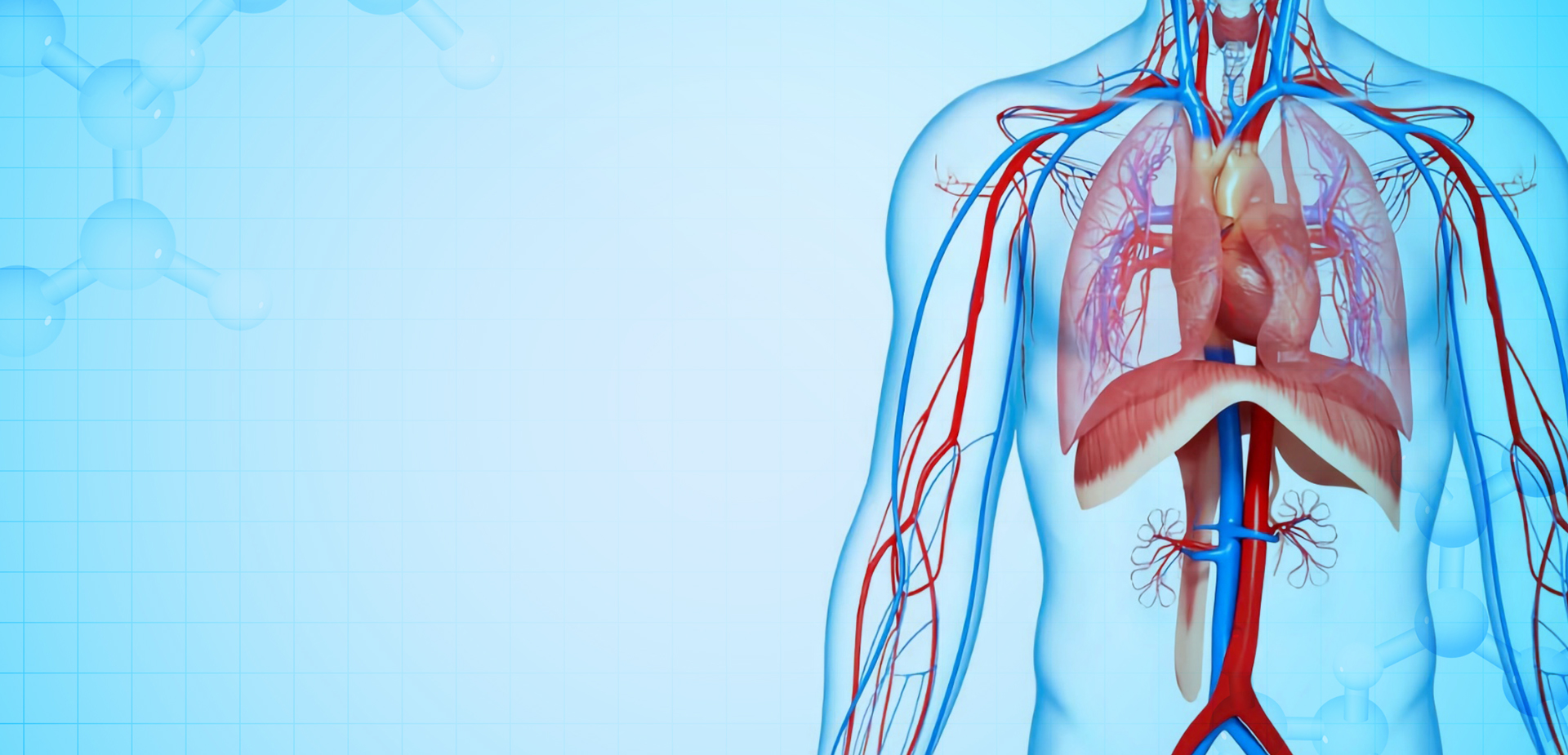 CÔNG TY TNHH VẬT LIỆU POLYMER NINGBO LINSTANT. TNHH.