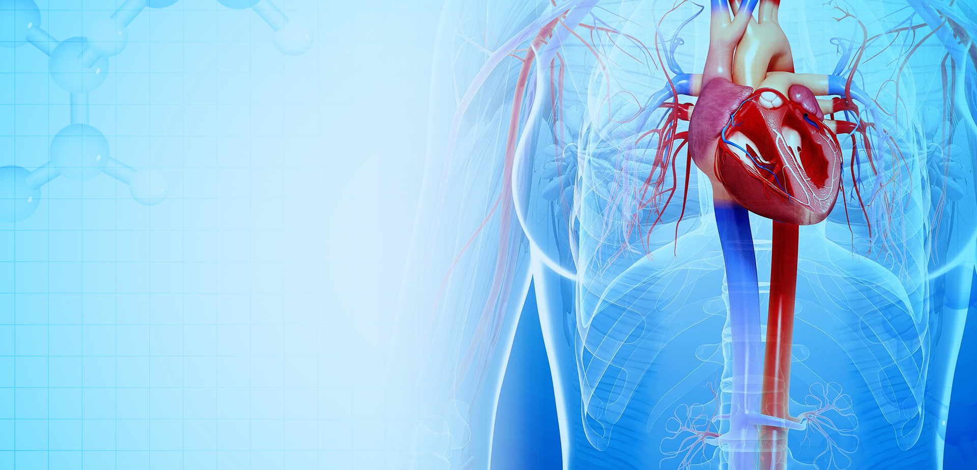 CÔNG TY TNHH VẬT LIỆU POLYMER NINGBO LINSTANT. TNHH.