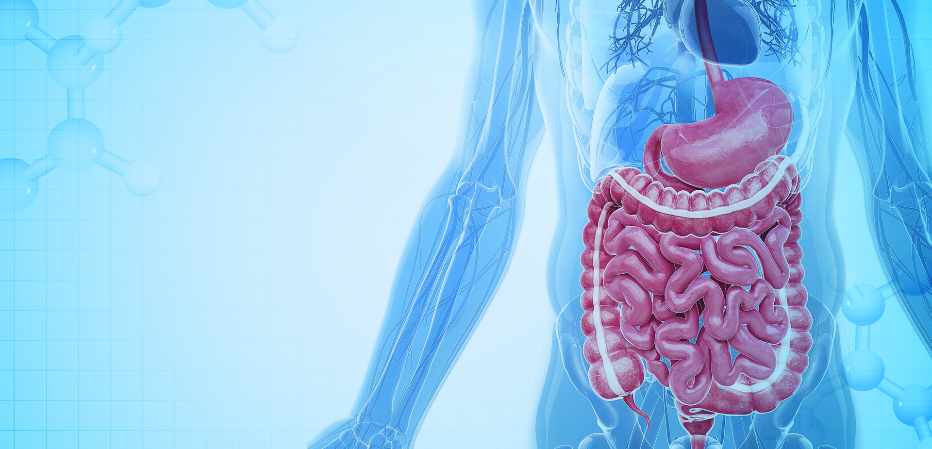 CÔNG TY TNHH VẬT LIỆU POLYMER NINGBO LINSTANT. TNHH.